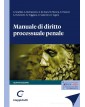 Manuale di diritto...